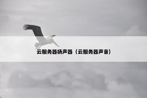 云服务器扬声器（云服务器声音）