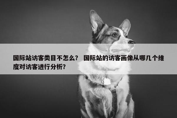 国际站访客类目不怎么？ 国际站的访客画像从哪几个维度对访客进行分析？