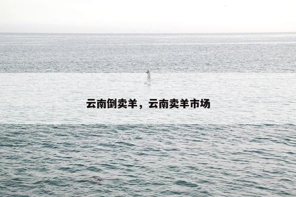 云南倒卖羊，云南卖羊市场