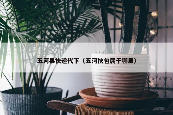 五河县快递代下（五河快包属于哪里）