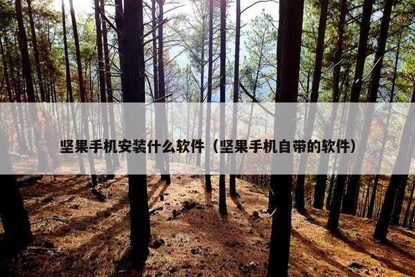 坚果手机安装什么软件（坚果手机自带的软件）