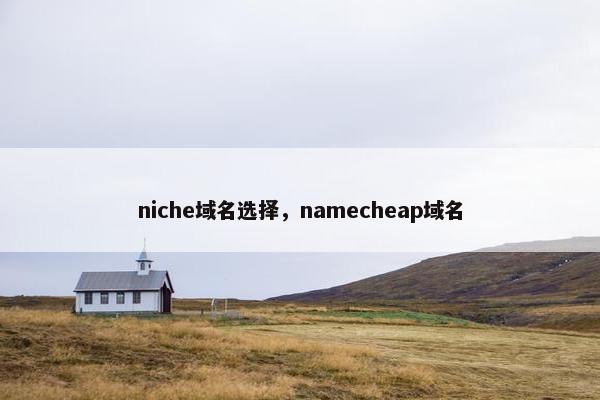 niche域名选择，namecheap域名