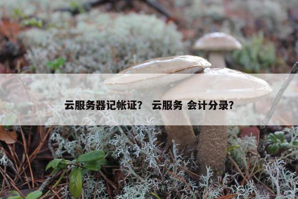 云服务器记帐证？ 云服务 会计分录？