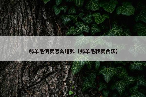 薅羊毛倒卖怎么赚钱（薅羊毛转卖合法）