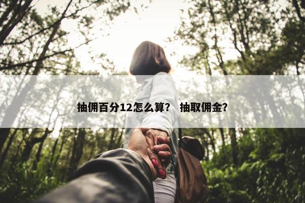 抽佣百分12怎么算？ 抽取佣金？