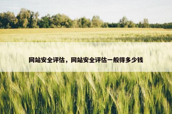 网站安全评估，网站安全评估一般得多少钱