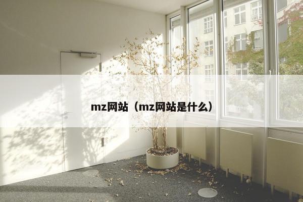 mz网站（mz网站是什么）