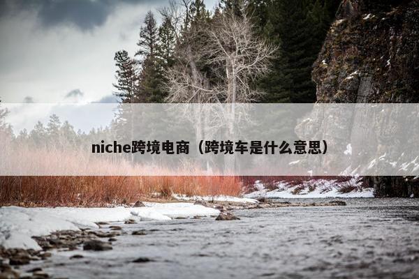 niche跨境电商（跨境车是什么意思）