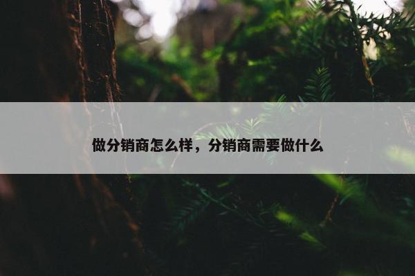 做分销商怎么样，分销商需要做什么