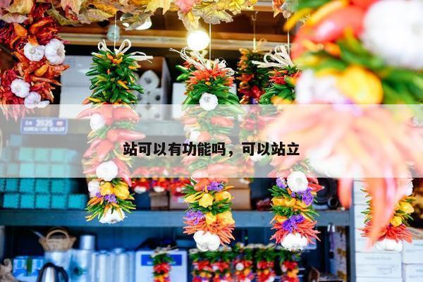 站可以有功能吗，可以站立
