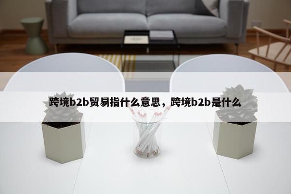 跨境b2b贸易指什么意思，跨境b2b是什么
