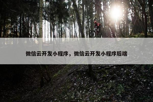 微信云开发小程序，微信云开发小程序后端