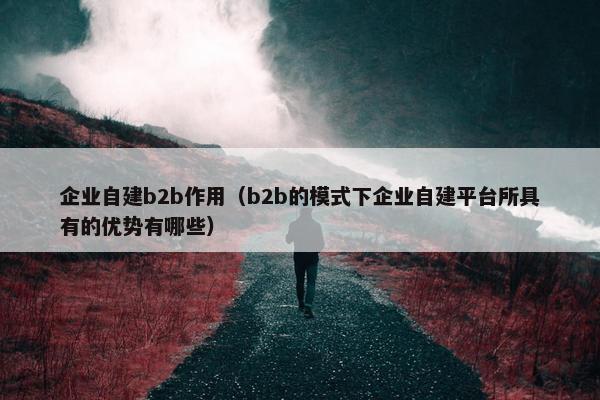 企业自建b2b作用（b2b的模式下企业自建平台所具有的优势有哪些）