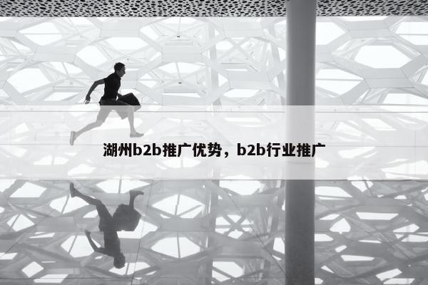 湖州b2b推广优势，b2b行业推广