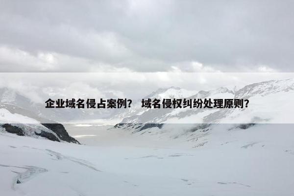 企业域名侵占案例？ 域名侵权纠纷处理原则？