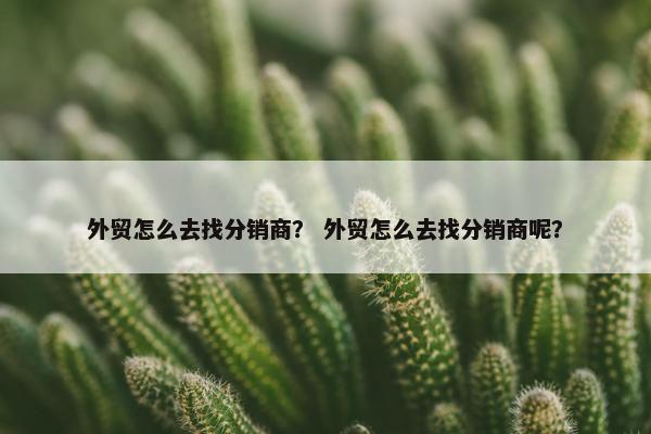 外贸怎么去找分销商？ 外贸怎么去找分销商呢？