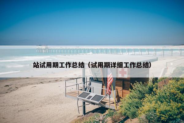 站试用期工作总结（试用期详细工作总结）