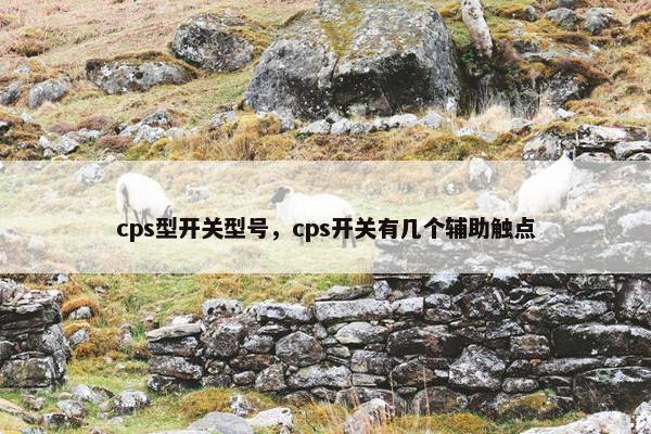 cps型开关型号，cps开关有几个辅助触点