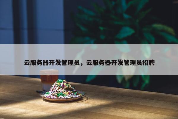 云服务器开发管理员，云服务器开发管理员招聘