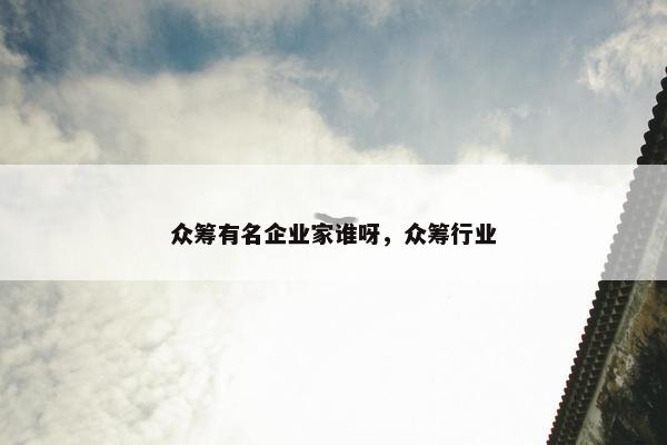 众筹有名企业家谁呀，众筹行业