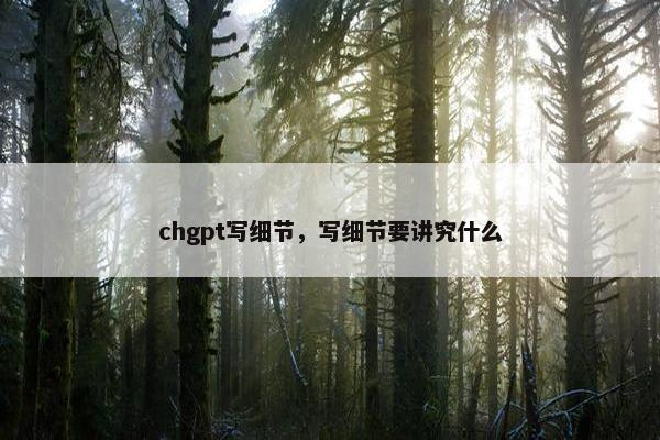 chgpt写细节，写细节要讲究什么