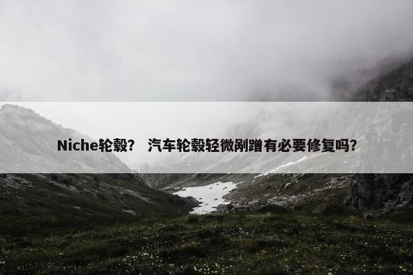 Niche轮毂？ 汽车轮毂轻微剐蹭有必要修复吗？