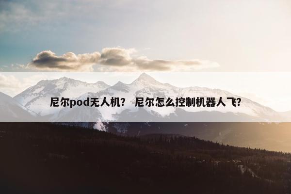 尼尔pod无人机？ 尼尔怎么控制机器人飞？