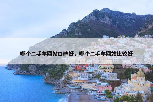 哪个二手车网站口碑好，哪个二手车网站比较好