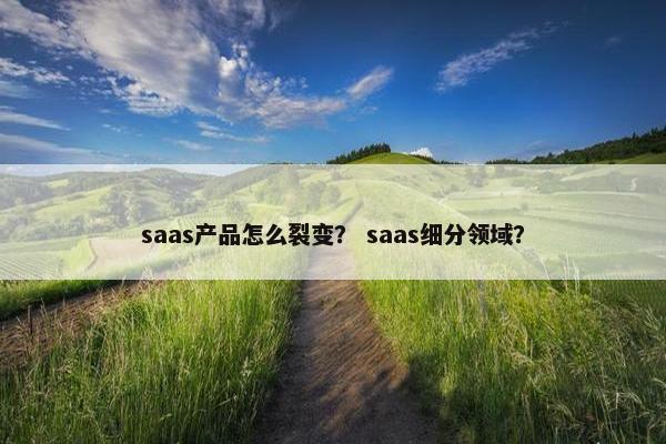 saas产品怎么裂变？ saas细分领域？