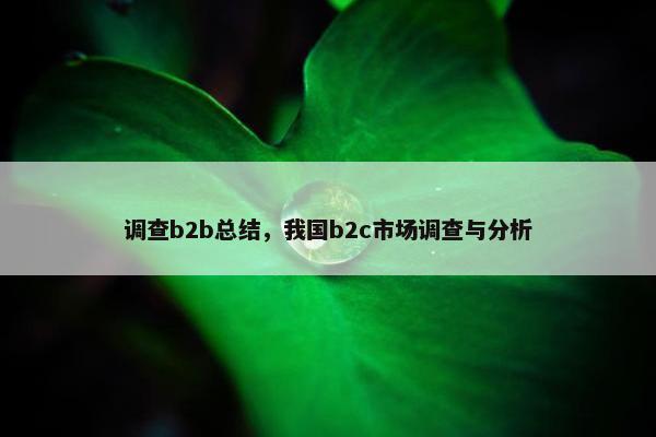调查b2b总结，我国b2c市场调查与分析