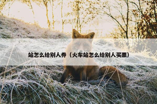 站怎么给别人券（火车站怎么给别人买票）