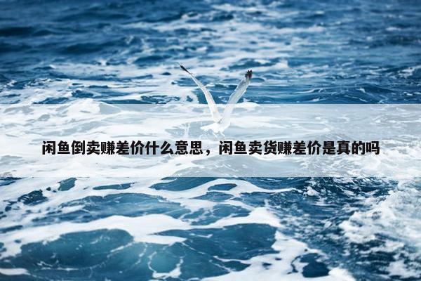 闲鱼倒卖赚差价什么意思，闲鱼卖货赚差价是真的吗