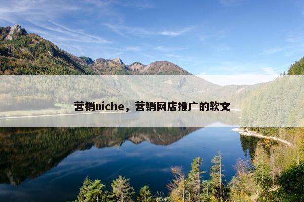 营销niche，营销网店推广的软文