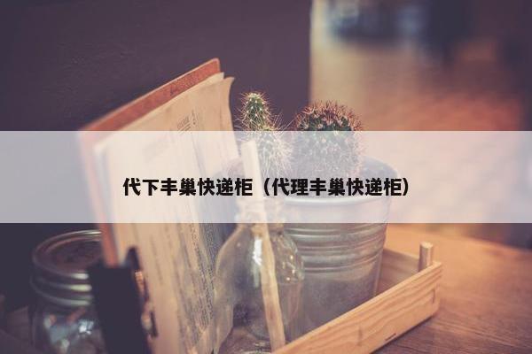代下丰巢快递柜（代理丰巢快递柜）