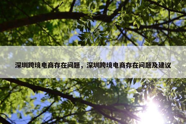 深圳跨境电商存在问题，深圳跨境电商存在问题及建议