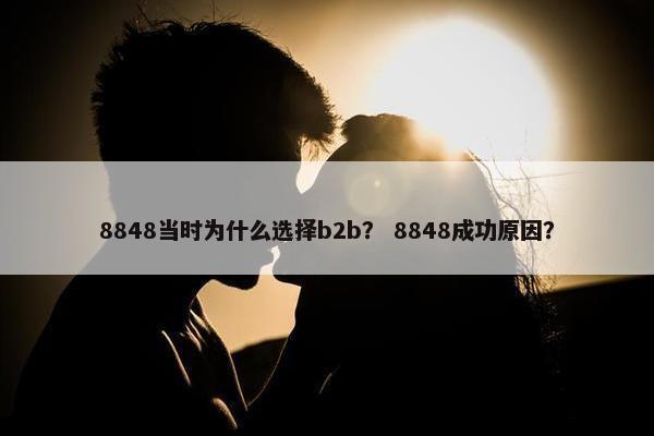 8848当时为什么选择b2b？ 8848成功原因？