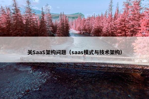 关SaaS架构问题（saas模式与技术架构）