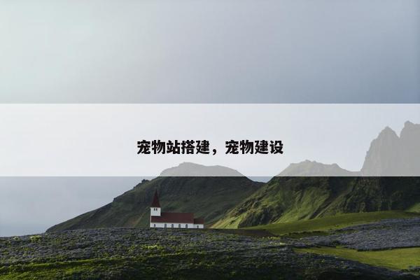 宠物站搭建，宠物建设