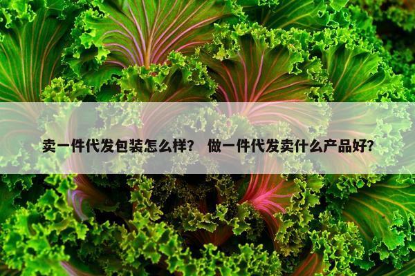 卖一件代发包装怎么样？ 做一件代发卖什么产品好？