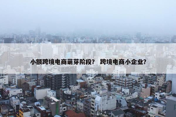 小额跨境电商萌芽阶段？ 跨境电商小企业？