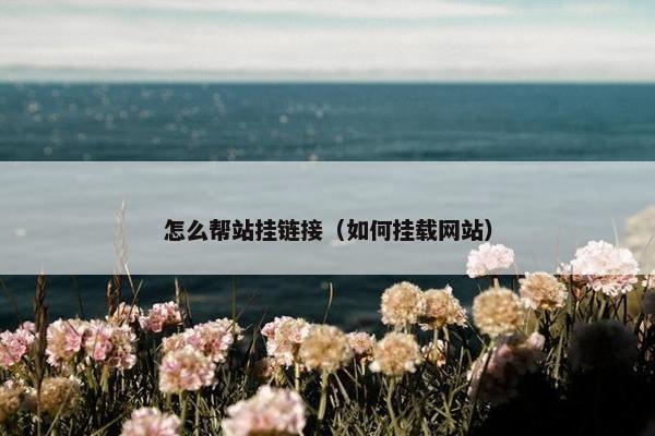 怎么帮站挂链接（如何挂载网站）