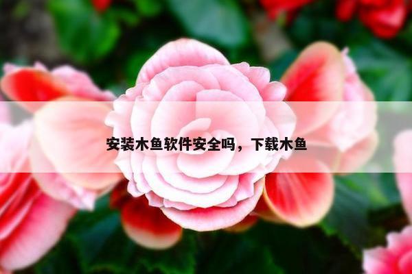 安装木鱼软件安全吗，下载木鱼