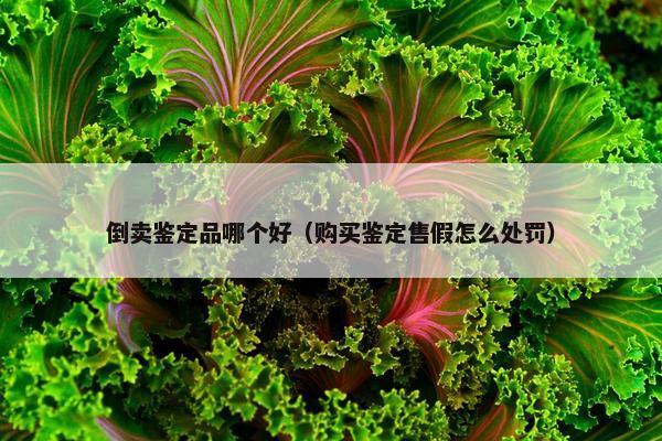 倒卖鉴定品哪个好（购买鉴定售假怎么处罚）