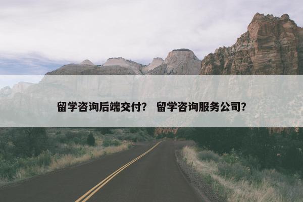 留学咨询后端交付？ 留学咨询服务公司？