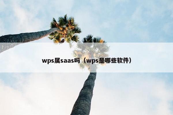 wps属saas吗（wps是哪些软件）