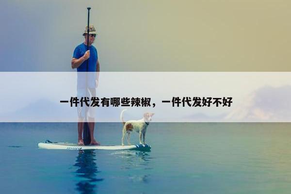 一件代发有哪些辣椒，一件代发好不好