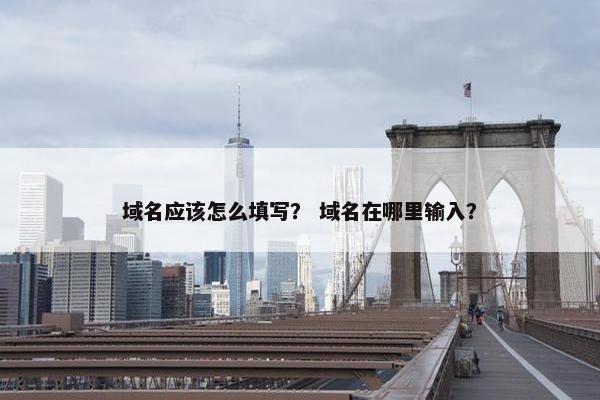 域名应该怎么填写？ 域名在哪里输入？