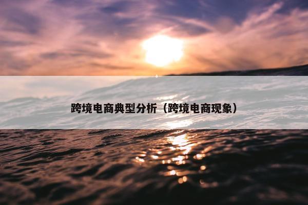 跨境电商典型分析（跨境电商现象）
