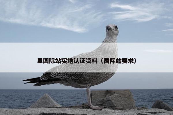 里国际站实地认证资料（国际站要求）