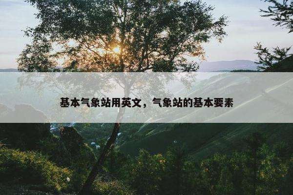 基本气象站用英文，气象站的基本要素